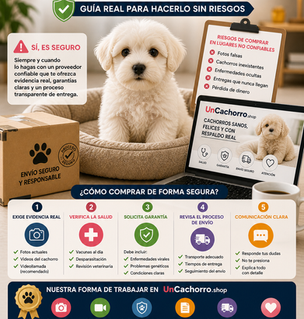 ¿Es seguro comprar un cachorro por internet? Guía real para hacerlo sin riesgos