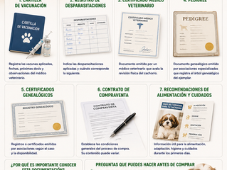 ¿Qué Documentación Puede Incluir un Cachorro? Guía Completa para Conocer las Opciones Disponibles