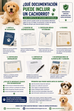 ¿Qué Documentación Puede Incluir un Cachorro? Guía Completa para Conocer las Opciones Disponibles