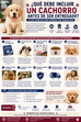¿Qué Debe Incluir un Cachorro Antes de Ser Entregado? La Guía Completa para Comprar con Tranquilidad