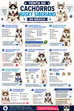 🐶 Venta de Cachorros Husky Siberiano en México: Precios, Cuidados y Cómo Elegir uno Correctamente