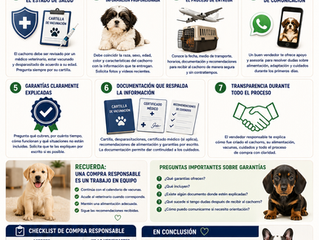 ¿Qué Garantías Debe Ofrecer un Vendedor de Cachorros? Todo lo que Debes Saber Antes de Comprar