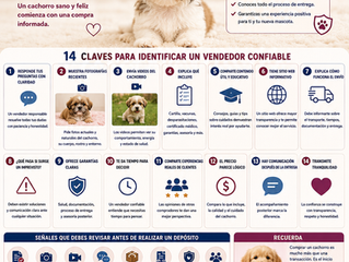La Guía Definitiva para Comprar un Cachorro de Forma Segura en México (2026): Todo lo que Debes Saber Antes de Elegir a tu Nuevo Mejor Amigo