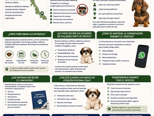 ¿Dónde Opera UnCachorro.shop? Conoce Cómo Funciona Nuestro Servicio de Atención y Entregas en México