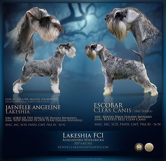 Lakeshia FCI kopia.jpg