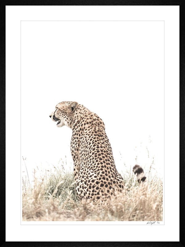 Tavlor Henrik Wergeland_Sida_05.jpg