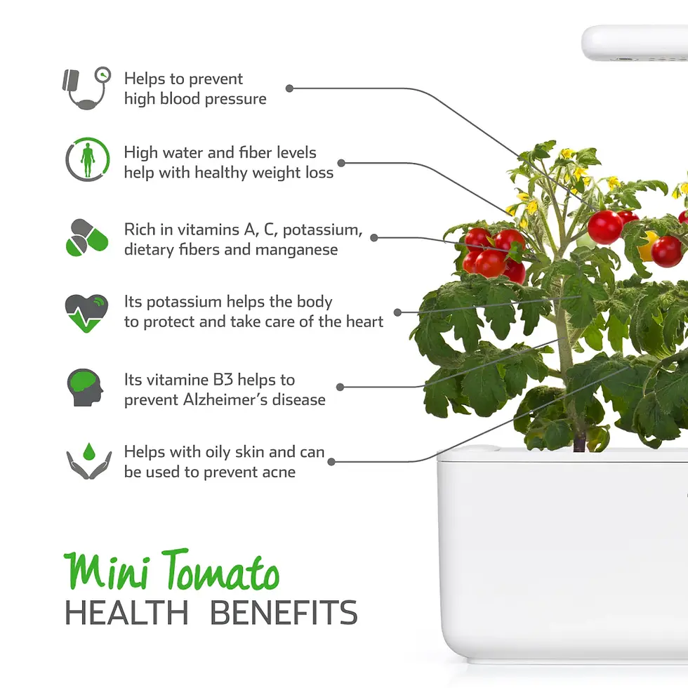 Миниатюра: Чери домати за Click & Grow Smart Garden