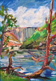 Below Moogerah Dam I: Reynolds Creek Gorge