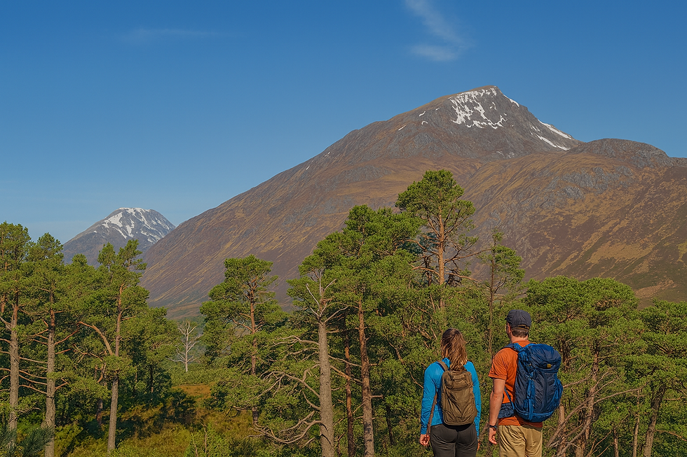 The Glen Affric Munros