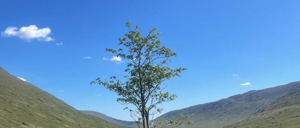 Rough Bounds of Knoydart Glen Dessary Munros