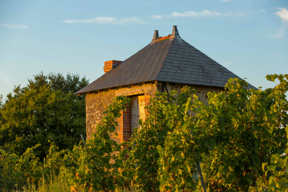 Un petit bâtiment en pierre avec un toit foncé, vignoble et Domaine du Gerfaut.