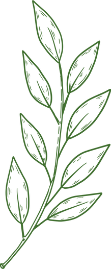 Dessin feuille verte