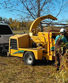 Tree grinding