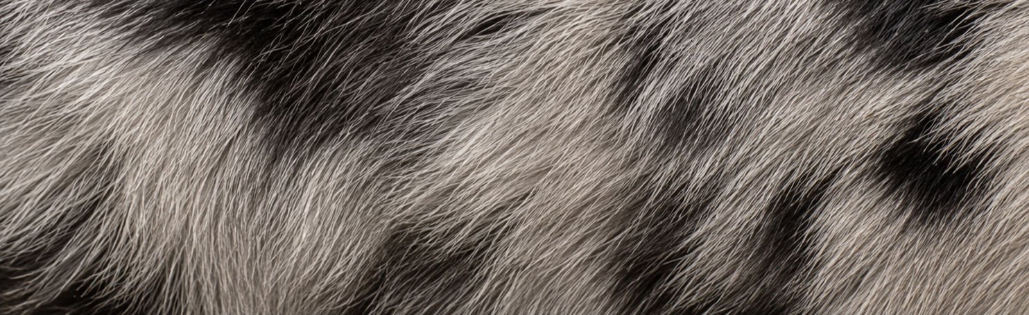f4a6d76c-526b-4ba8-bdb4-4c7d7a468007_edited.jpg