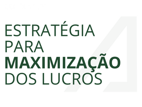 Fundos próprios como estratégia para maximização de valor