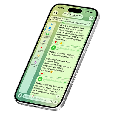 come alive deckblatt online kurse (2).png