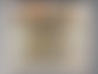 HOT Rooster welcome to my mother cluckin kitchen dishwasher cover