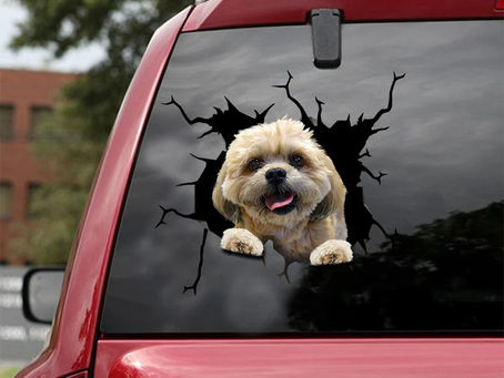 HOT Shih tzu crack car decal sticker