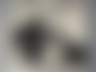 OFFICIAL Personalized custom name You are not just a Border Collie poster