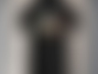 OFFICIAL Birth of a bird shirt