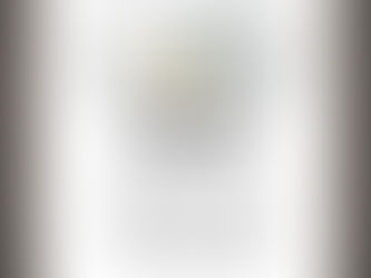 TREND Turtle I'm totally lacking the zip a dee part of my doo dah day shirt