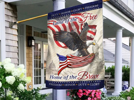 HOT Eagle america flag land of the free home of the brave flag