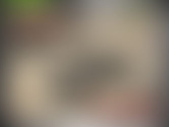 HOT Motor racing happiness isn't around the corner it is the corner canvas prints