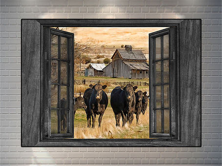 HOT Angus cow by the window poster