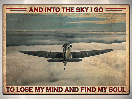 (Fast Shipping) Pilot and into the sky I go to lose my mind and find my soul poster