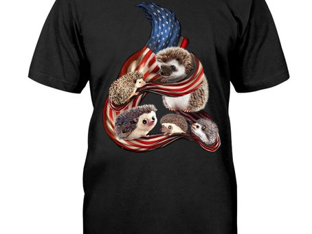OFFICIAL Hedgehog cool and freedom 4th of July shirt