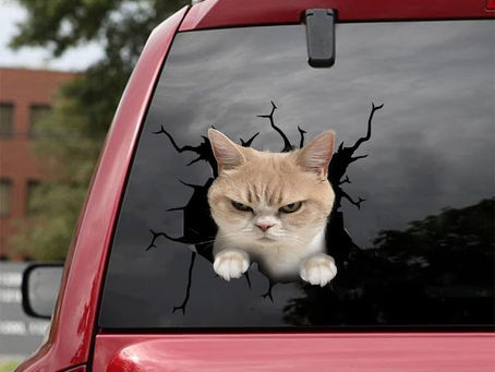 HOT Grumpy cat car decal sticker