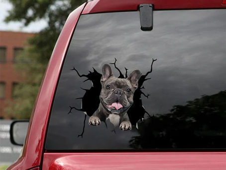 SALE OFF Funny french bulldog sticker car decal