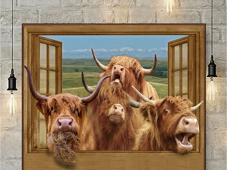 TOP Highland cattle and farmer window poster