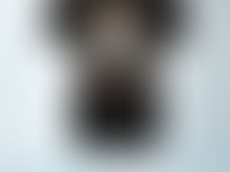 NEW Shih Tzu I Tried To Be Normal Once Worst Two Minutes Of My Life