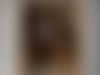 NEW Boxer Detective That's what I do I investigate and I know things poster