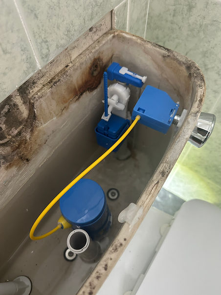 fill and flush.JPG