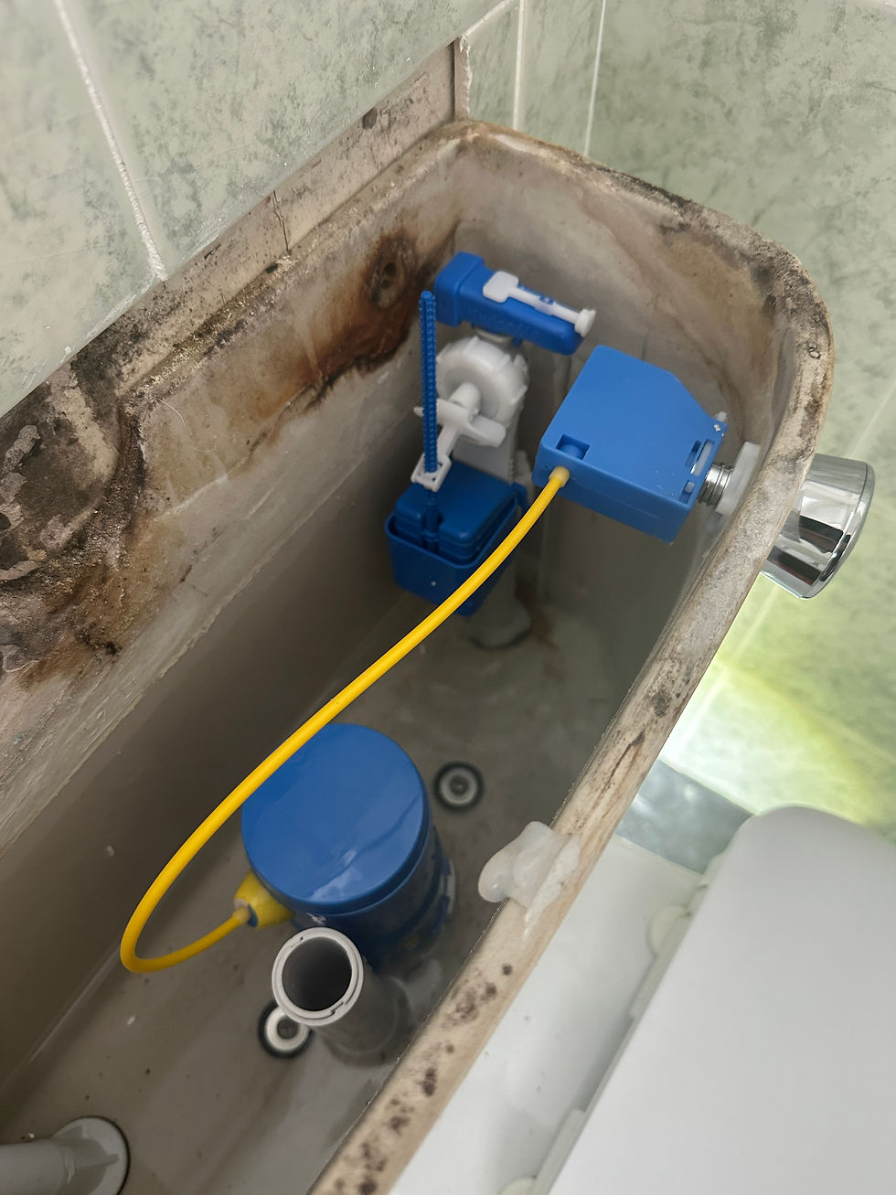 Toilet Parts Upgrade