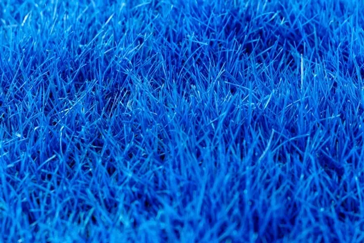 blue turf.webp