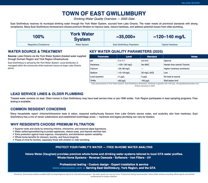 Velora Water Systems water quality summary and report for East Gwillimbury, Ontario – municipal water analysis with hardness, chlorine, and contaminant levels plus recommended filtration solutions