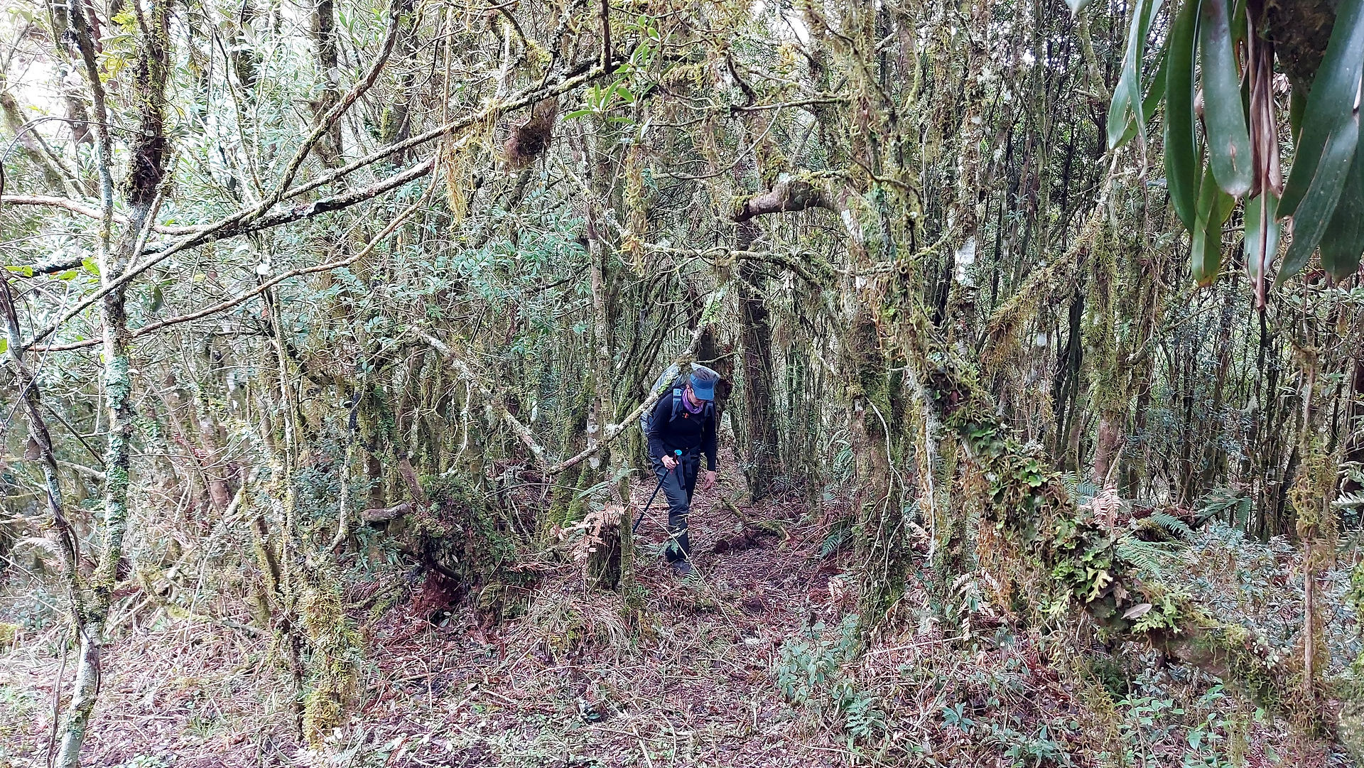 Quase na estrada novamente