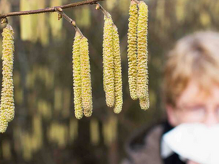 Pollen in de lucht!