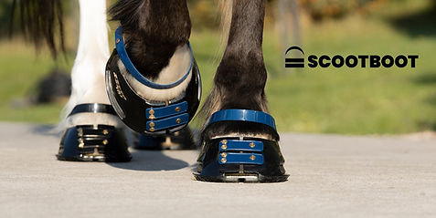 300X150 Banner Vistaprint - Navy straps NEW.jpg