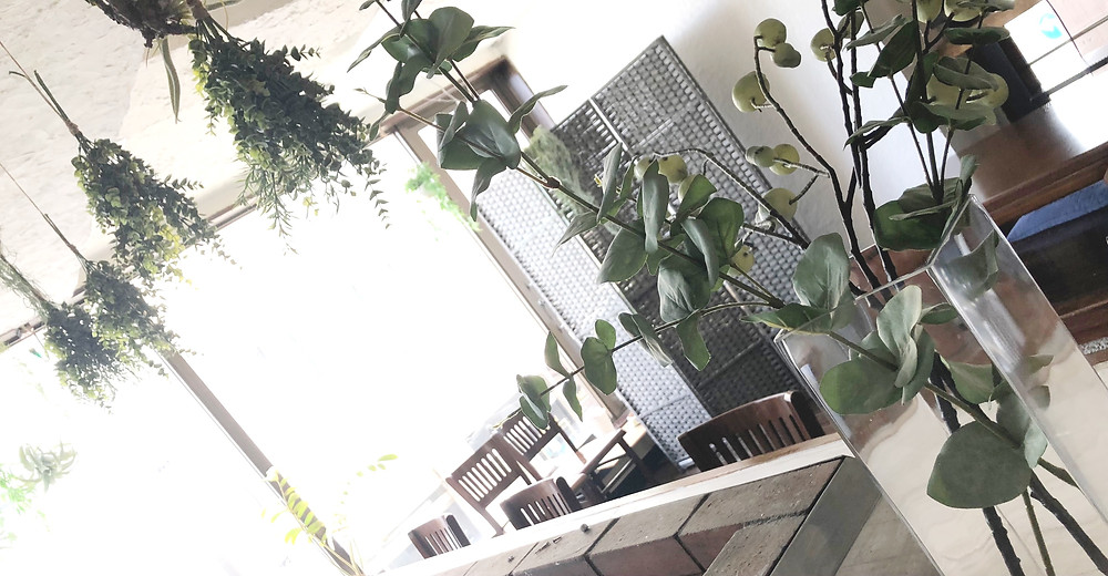 なぜカフェでホームページ作成 なぜカフェでホームページ作成