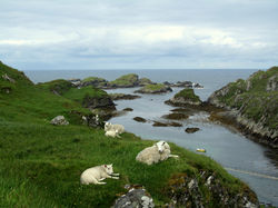 The Cape Wrath Trail