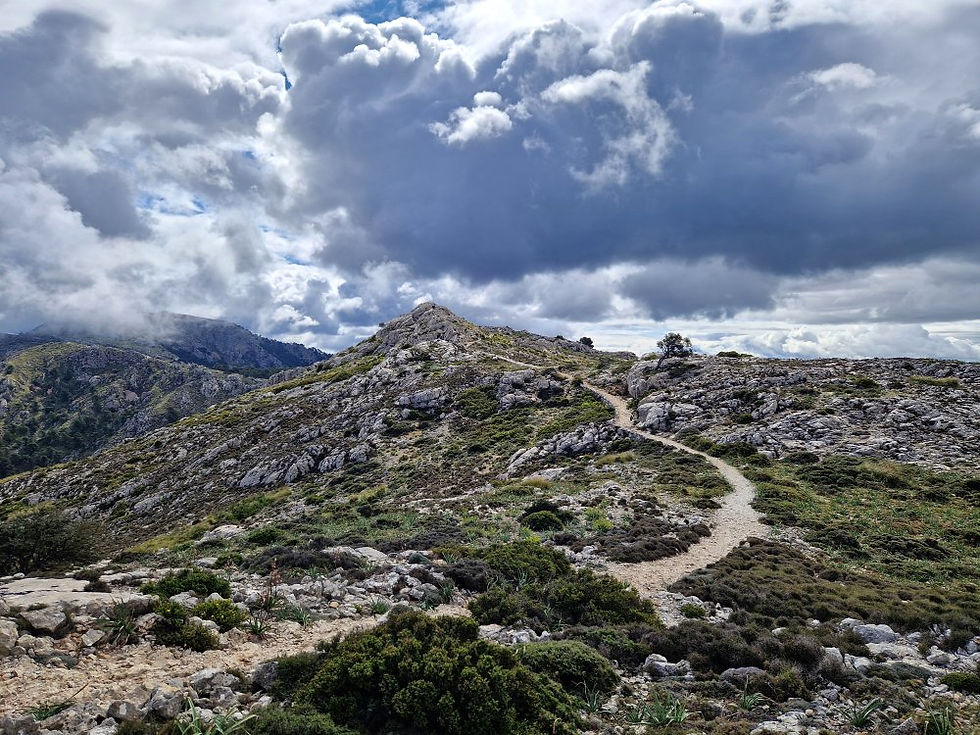 Pátá etapa po GR 221 z Deia do Valldemossy, GR 221, Mallorca