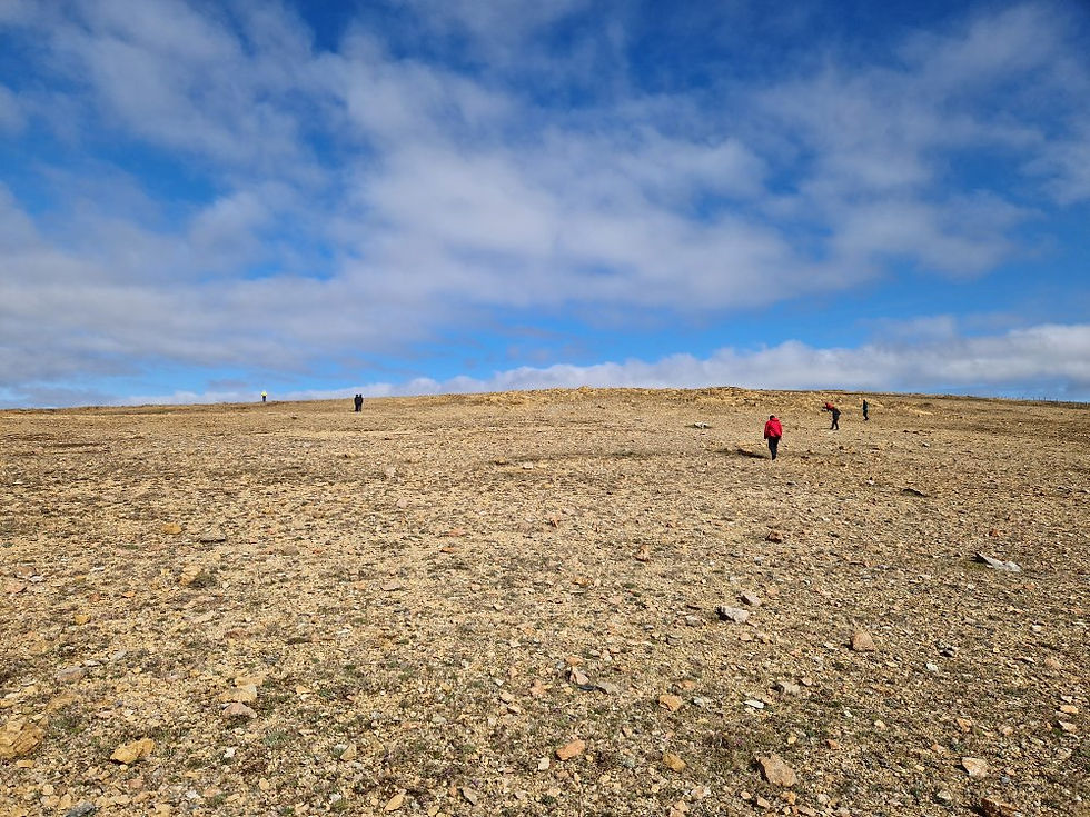 Přírodní rezervace Keen of Hamar, Unst, Shetlandy, Skotsko