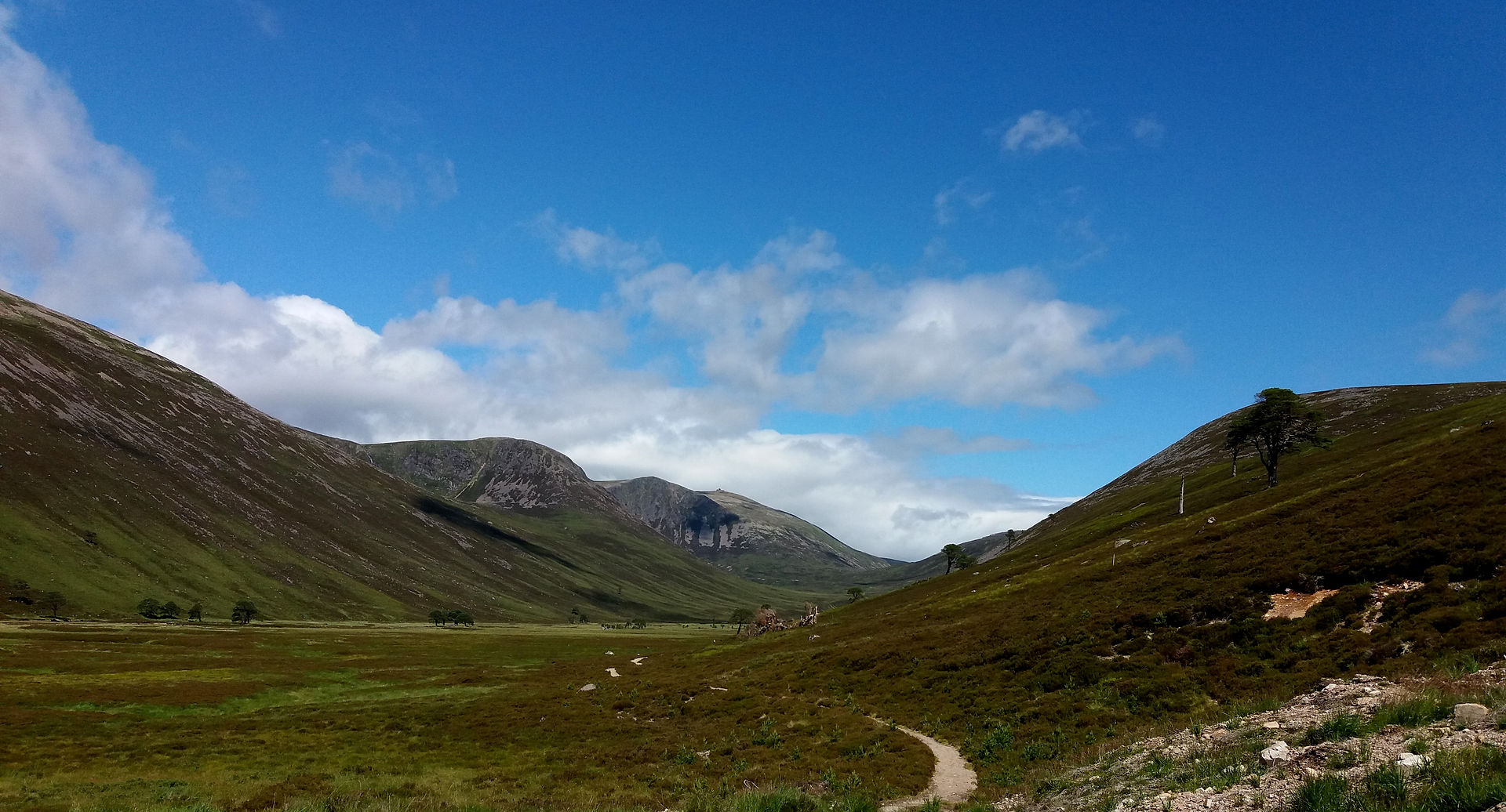 Cairngorms
