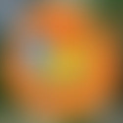 Johnno Casson aka Snippet - Soft Lad