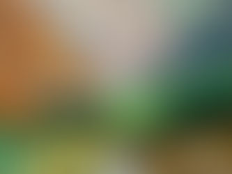 Justin Sconza -  Native Birds of Guam