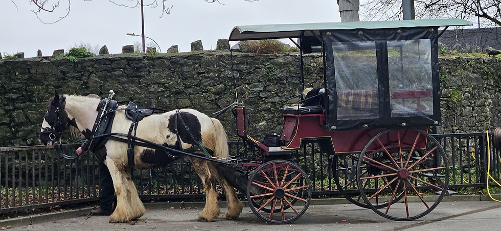 Emma & Johnny's Carriage Ride